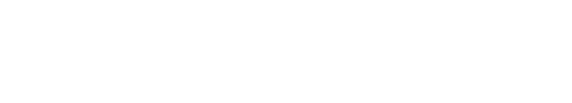 Insur Grupo